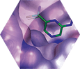 Fragment-Based Drug Discovery