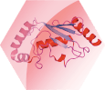 Ubiquitin-Induced Targeted Protein Degradation