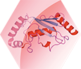 Protein Degradation Using PROTACs and Molecular Glues Icon