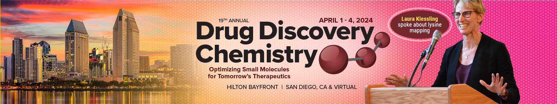 Drug Discovery Chemistry - 2024