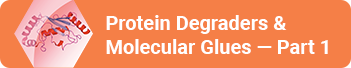 Protein Degradation Molecular Glues