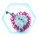 Epigenetic Inhibitor Discovery icon
