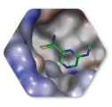 Fragment-Based Drug Discovery icon