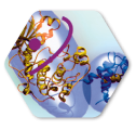 Kinase Inhibitor Chemistry icon