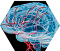 Brain Penetrant Inhibitors Track