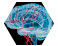 Brain Penetrant Inhibitors icon