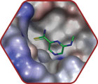 Fragment-Based-Drug-Discovery