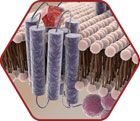 GPCR-Targeted Drug Design