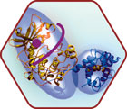 Kinase-Inhibitor-Chemistry