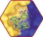 Protein-Protein Interactions Part I icon