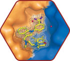 Protein-Protein Interactions, Part 2